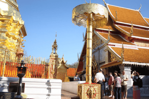 Visite d&#039;une demi-journée du village Hmong, Doi Suthep et Wat Pha Lat