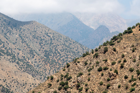 From Marrakech: Day Trip to Ourika Valley