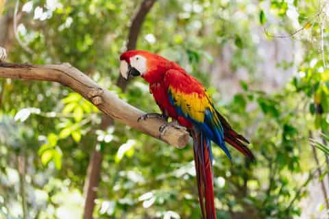 Phoenix Zoo: One Day General Admission Ticket