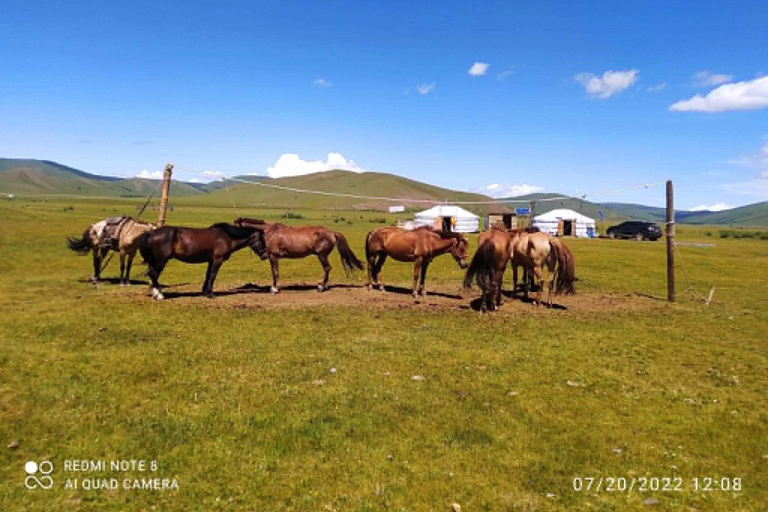 Ulaanbaatar: 9-Days Khagiin Khar Nuur & Horse Trekking Tour