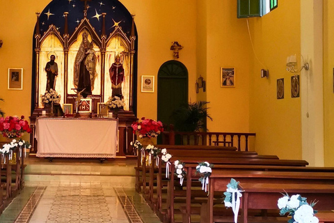 Visite de la cave Tacama - Tour Don Manuel avec dégustationVisite du vignoble Tacama - Don Manuel et dégustation