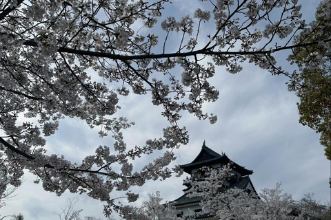 Nagoya Shore Excursion: Castle & Traditional Garden Day Tour