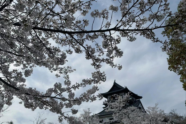 Nagoya Shore Excursion: Castle & Traditional Garden Day Tour