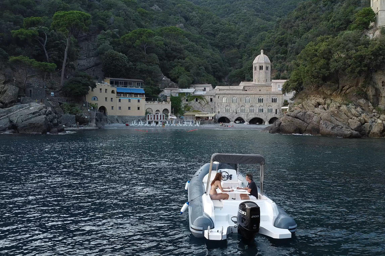Baignade avec les cétacés Visite privée en bateau Genova Portofino