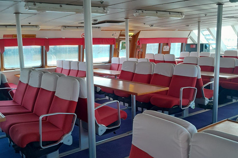 Tromsø: Responsible Whale Watching Cruise Aboard MS Alba