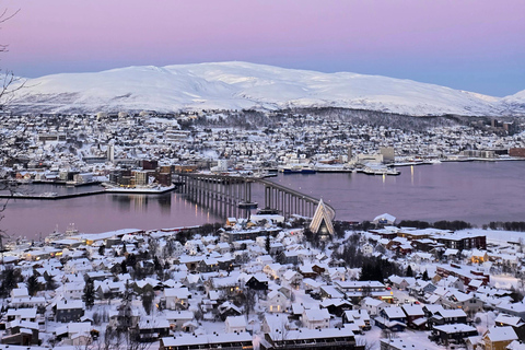 Tromsø: Fjellheisen Local Guided Hike
