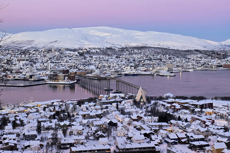 Tromsø: Fjellheisen Local Guided Hike