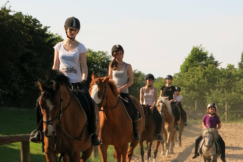 Hirschburg: Day at the stables