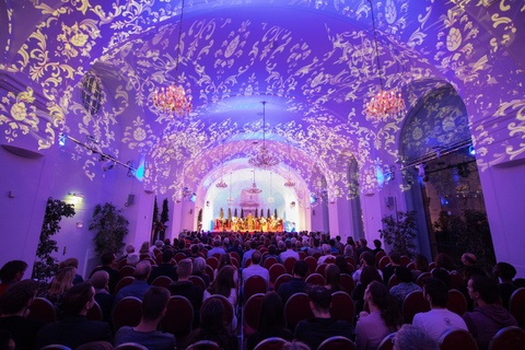 Wien: Slottet Schönbrunn – kvällstur, middag och konsertKategori B