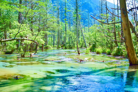 Kamikochi Day Tour from Nagoya: Discover the Pristine Valley