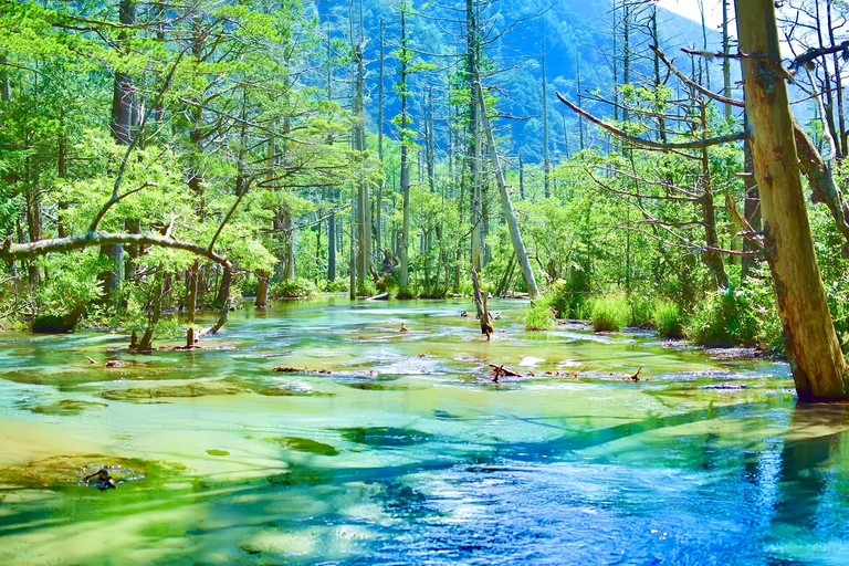 Kamikochi Day Tour from Nagoya: Discover the Pristine Valley