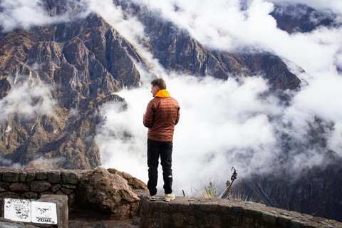 From Arequipa: Colca Canyon and Andean Wildlife Day Trip