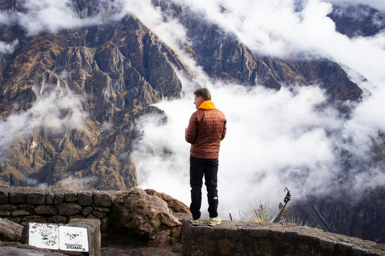 From Arequipa: Colca Canyon and Andean Wildlife Day Trip