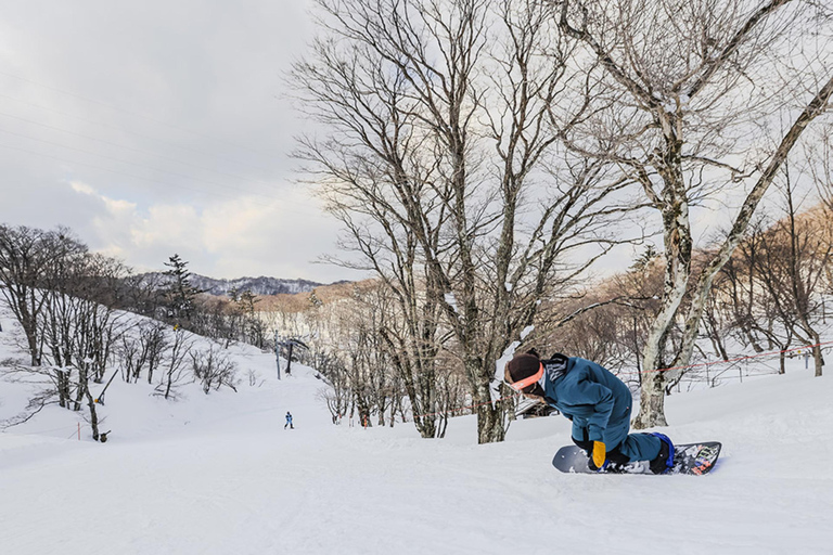 أوساكا: جولة ليوم واحد للتزلج الشتوي في وادي شيغا بيواكوج (التزلج + المصعد + الملابس)