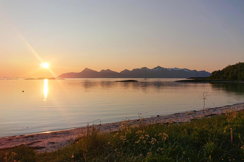 Bodø: The Beaches of Kjerringøy