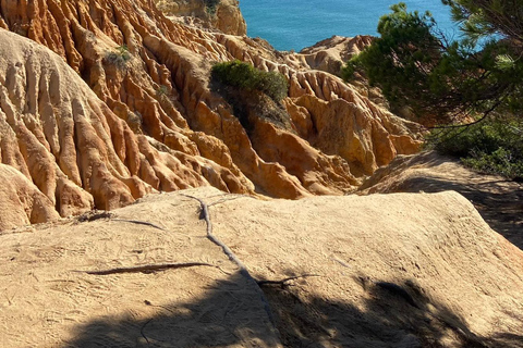 Desde Faro: Excursión a Benagil, Marinha, 7 Valles y Algar Seco