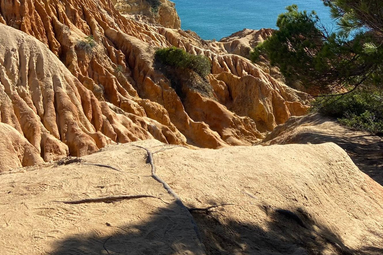 Z Faro: Wycieczka do Benagil, Marinha, 7 Dolin i Algar Seco