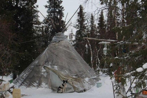 Khuvsgul Lake & Tsaatan Reindeer Herders Tour