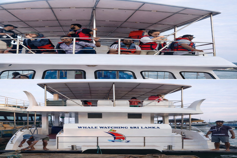Mirissa: Whale Watching Boat Tour & Kayaking Experience Whale Watching Boat Tour only (With Entry Ticket)