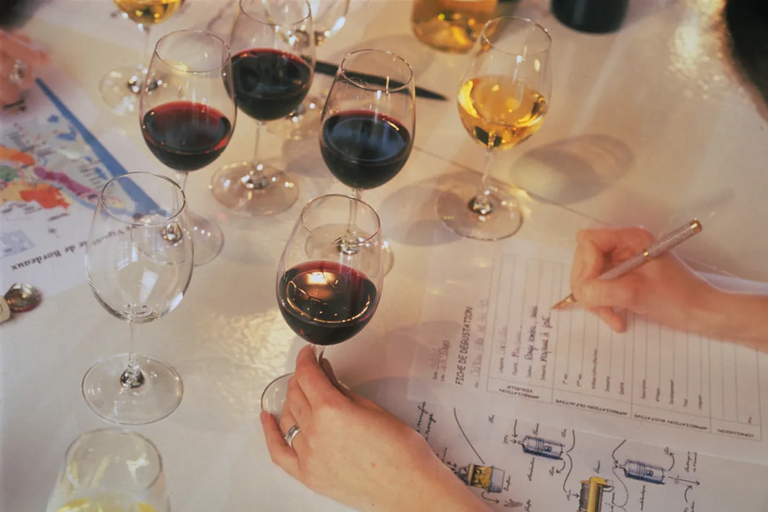 Lyon: Local Wine and Cheese Pairing Workshop with Sommelier