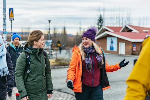 Da Reykjavik: tour ghiacciaio e Circolo d&#039;Oro in motoslittaTour senza prelievo in hotel