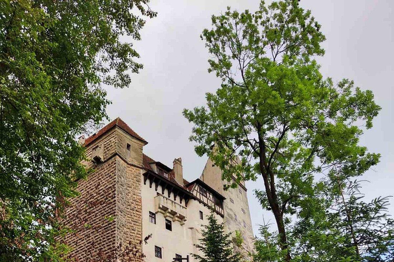 Brasov: Bran - Dracula's Castle + Tickets