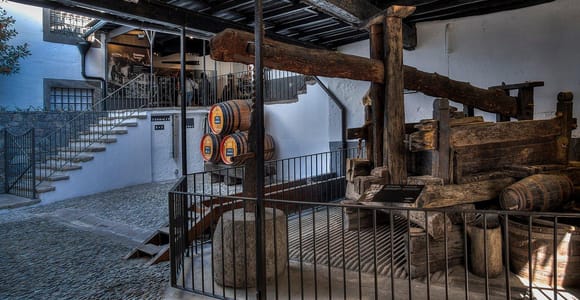 Madeira Guided Wine Tour and Artisan Cheese Tasting