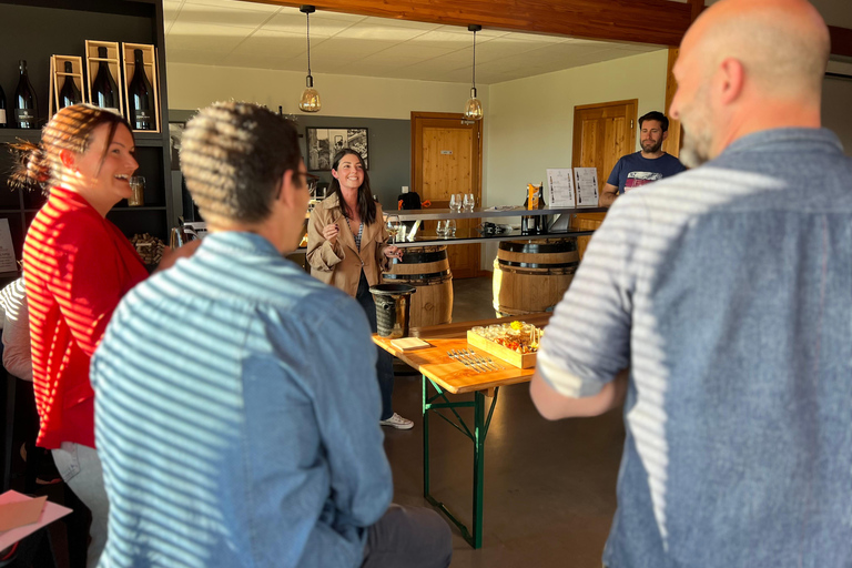 Tain l&#039;Hermitage: bezoek twee wijnhuizen en een wijn- en spijsworkshopTain l&#039;Hermitage: Bezoek twee wijnhuizen en Atelier Vins &amp; Mets