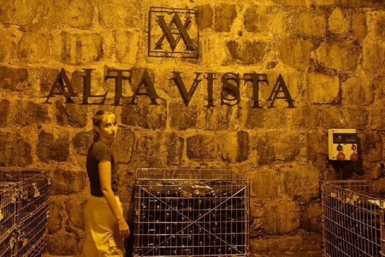 Mendoza : visite d'une jounée, visite et dégustation - 3 domaines viticolesRégion Maipu