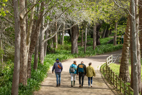 Constantia: Wine Walk with Lunch and Enchanting Stories