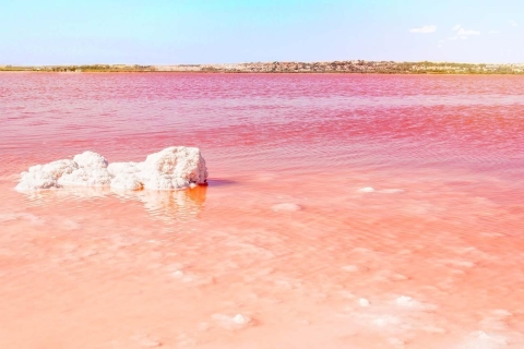 From Alicante: Excursion to Pink Lake & Tabarca Island