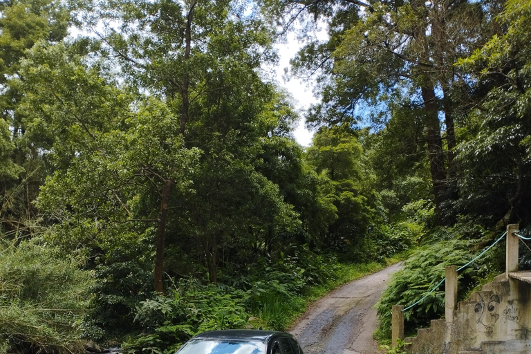 Meio dia no Lago do Fogo, abacaxi e chá de SUV