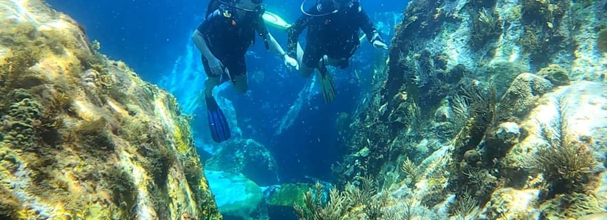 Martinique : baptême de plongée sous-marine