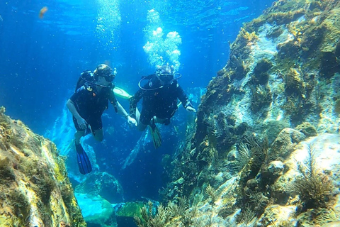 Martinique : baptême de plongée sous-marine