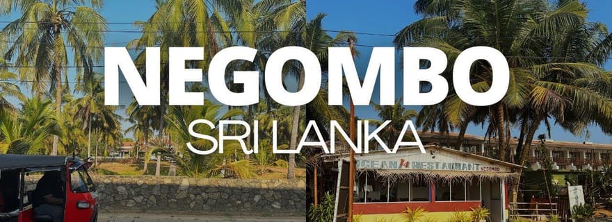 Negombo City : Explorez le marché aux poissons et le canal hollandais en bateau