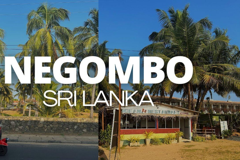 Negombo City Tour : Fish Market and Dutch Canal Boat Ride