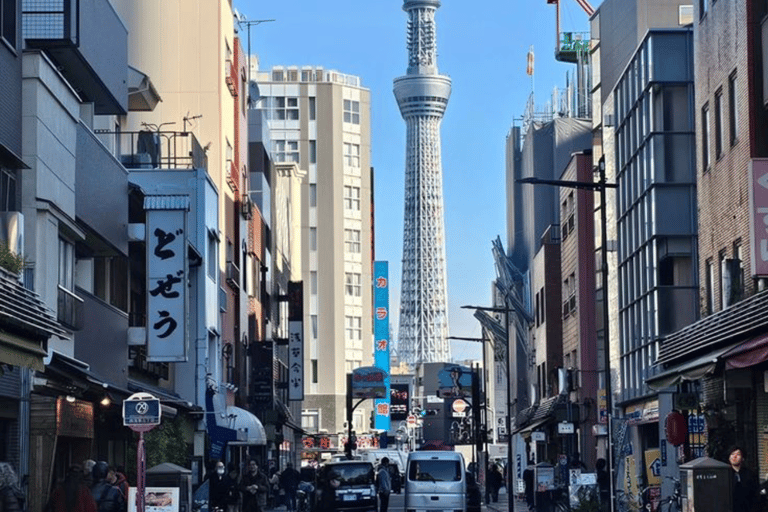 Tokyo Full Day Customizable Private Tour with English Guide