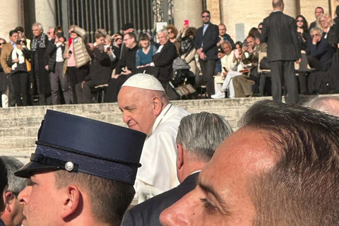 Newlywed couples blessing during Pope Leone XIV audience