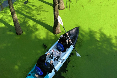 Hangzhou Qingshan Lake Water‑Forest Private Day Tour Ticket + Deer‑Feeding | Separate Driver & Guide