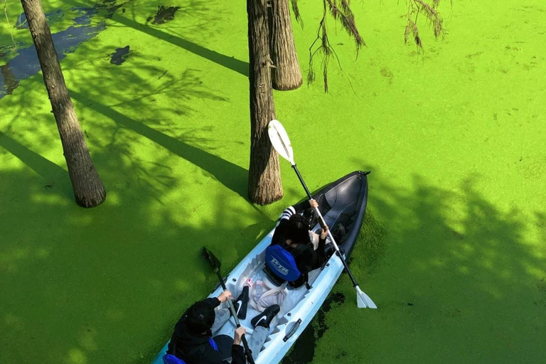 Hangzhou Qingshan Lake Water‑Forest Private Day Tour Ticket + Deer‑Feeding | Separate Driver & Guide