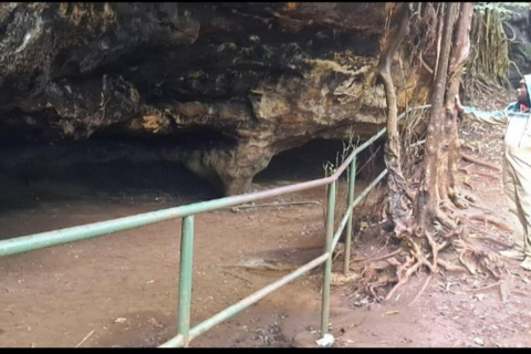 Karura guided walking tour