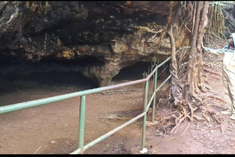 Karura guided walking tour