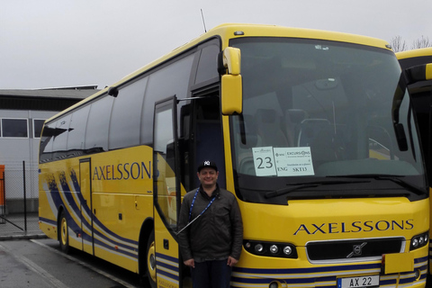 Excursão cultural de meio dia em Estocolmo