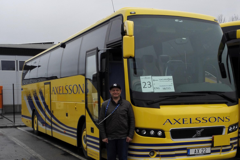 Excursão cultural de meio dia em Estocolmo