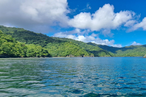 Snorkel e churrasco na costa