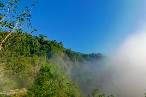 Khao Sok Jungle Day Trip - Jungle Trekking & Bamboo Rafting