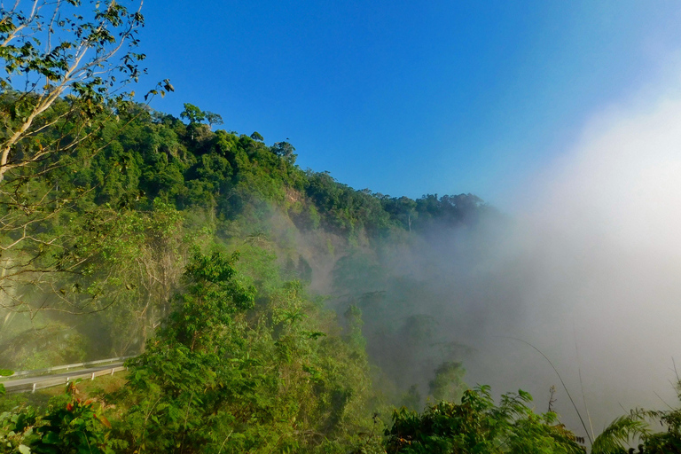 Khao Sok Jungle Day Trip - Jungle Trekking & Bamboo Rafting