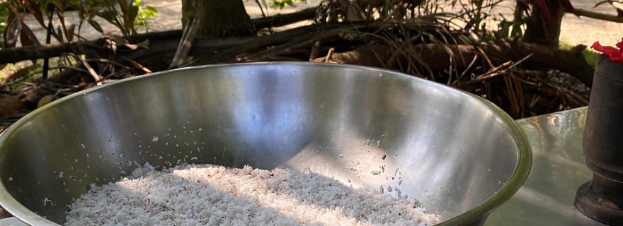 Uvita : visite guidée sur le thème de la noix de coco