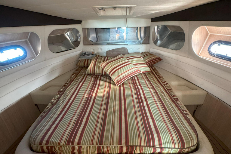 Private speedboat tour in Rio de Janeiro 4 hour Private speedboat tour in Rio de Janeiro