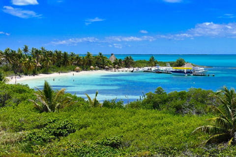 Cancún: Isla Contoy & Isla Mujeres Tour, Lunch & Transport